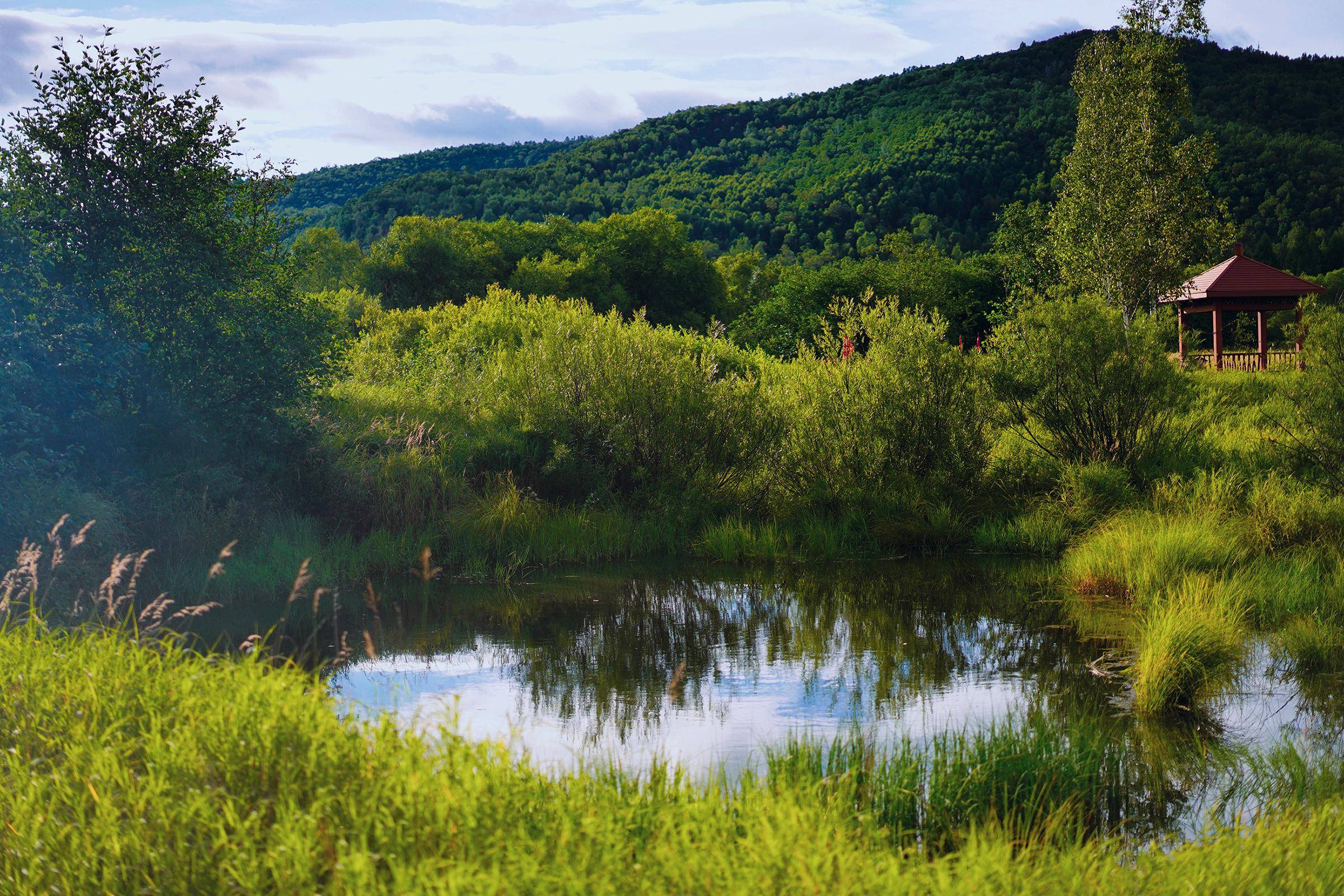 酷暑时节,徒步穿越大兴安岭丛林,感受加格达奇20度的夏天_天台山_百泉