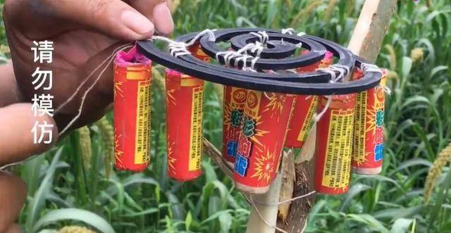 很多苗被鸟连种子都啄出,假人,鞭炮,超声波,哪个好_稻草人_神器_蚊香
