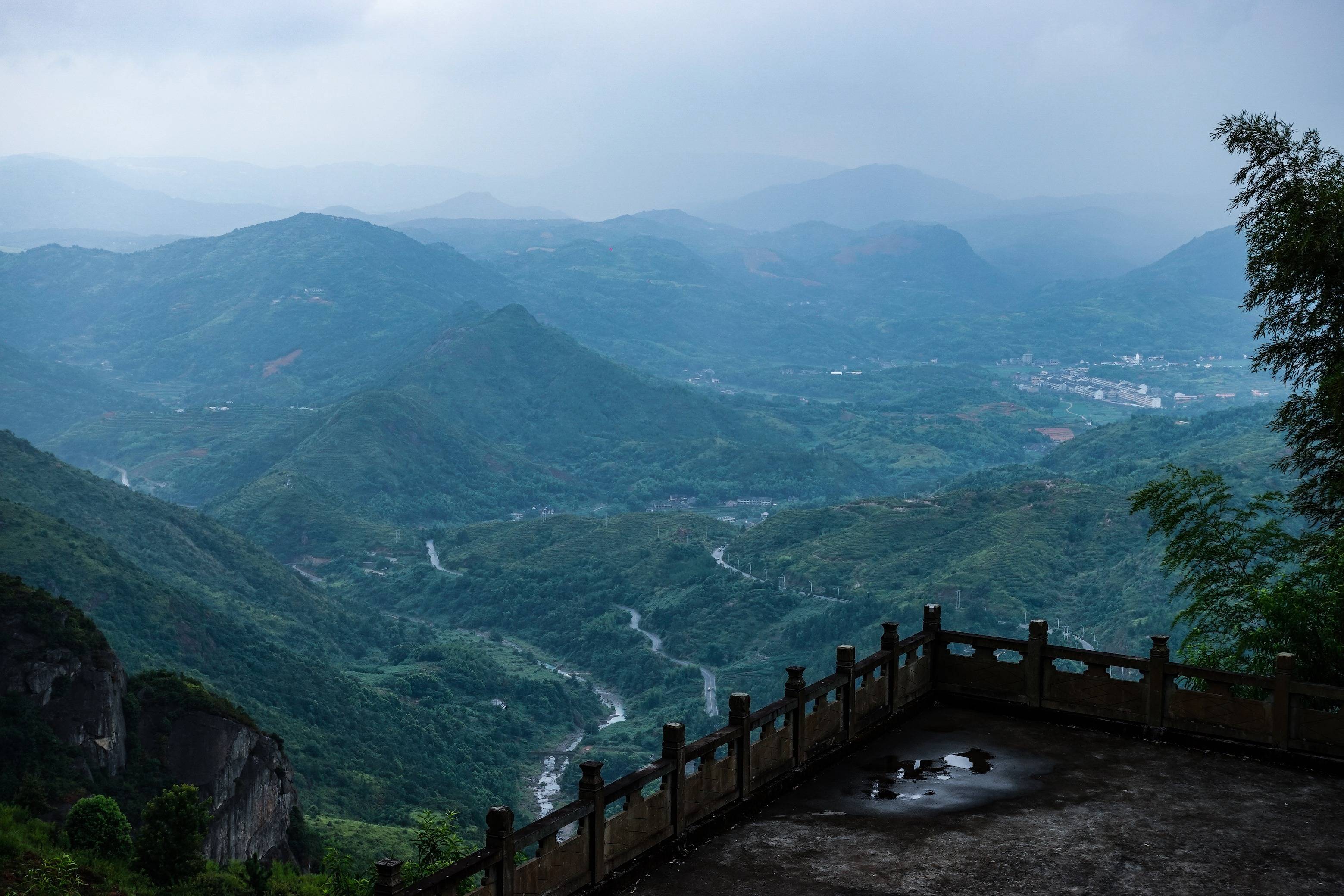 古朴惬意的避世古村，入选浙江“一村万树”示范村，是朱程将军的故乡