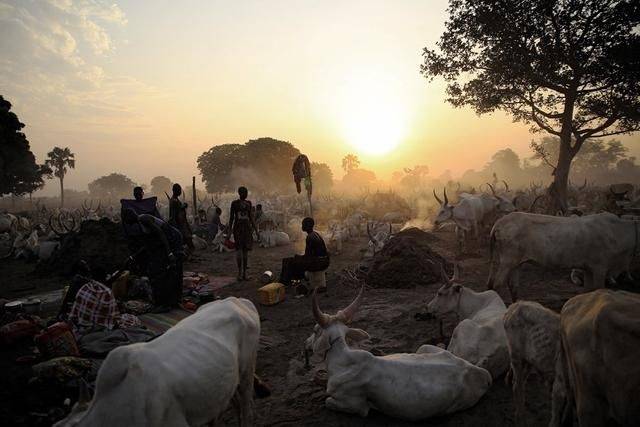 南苏丹:最年轻的土著部落,不足10万人,用牛尿洗漱,用牛粪驱蚊