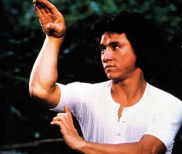 出道后的他与元隆,元泰,元华等人,并称为香港七小福,1971年,成龙正式