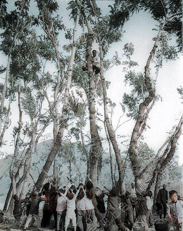 “河北”河北老照片：阜平姑娘送心上人上前线，涞源八路军与日俘同桌吃饭