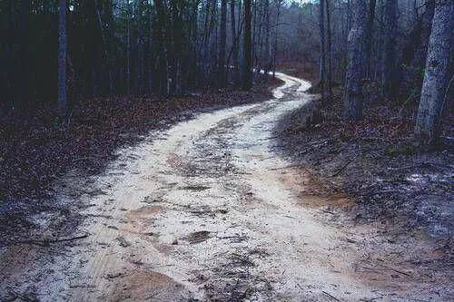 故事发生在湖北省利川市狮子坝乡民主村,这里有一座被叫做"蛇墓"的坟