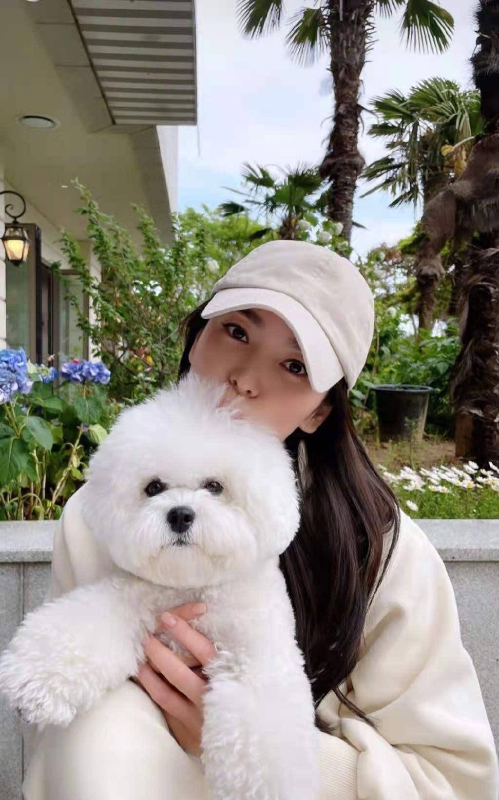 宋慧乔罕见晒自拍 穿卫衣抱狗狗嘟嘴卖萌太可爱 状态比全智贤好 时尚 后跟 黑色