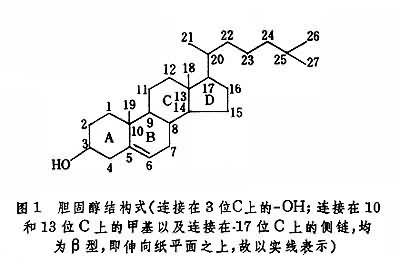 仲胺基结构式图片