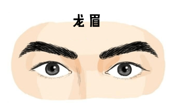 龙眉的男人好吗 龙眉有帝王相吗?_眉毛_父母_毛顺