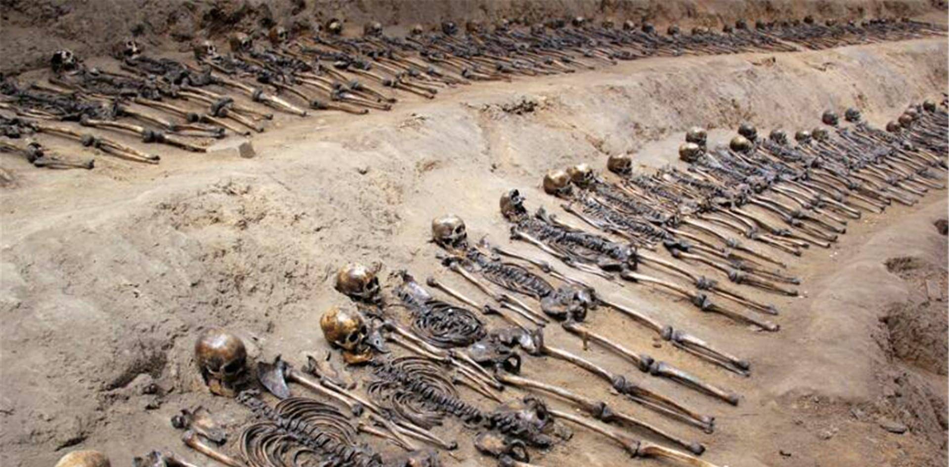 湖北高速公路施工,挖出3000具军人遗骸,专家揭开一段悲壮的历史_我国