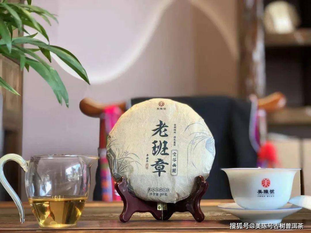 老班章空谷幽兰古树茶 | 远看不见茶,但闻幽兰香!_茶树_兰花_山野