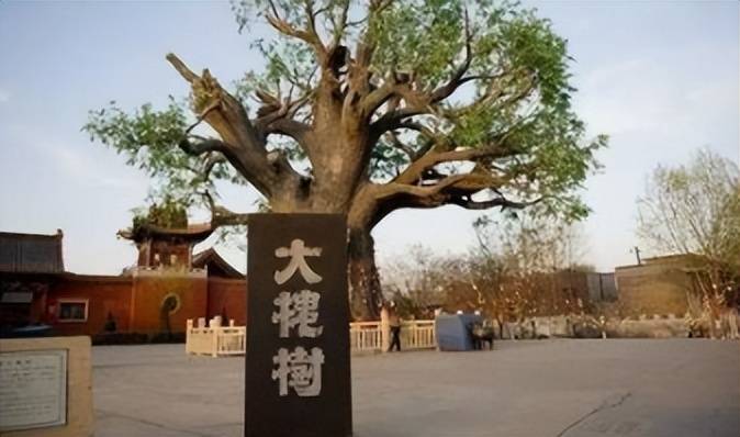 它是中国最大百家姓祠堂的地址 洪洞 槐树 移民
