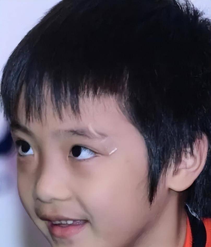 "爱国小子"费曼:带头抵制华语侮辱动画,一句话成了无数孩子避战的借口