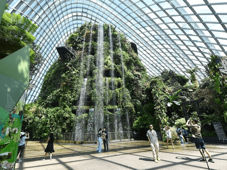 新加坡滨海湾花园 植物生机勃勃-搜狐大视野-搜狐新闻