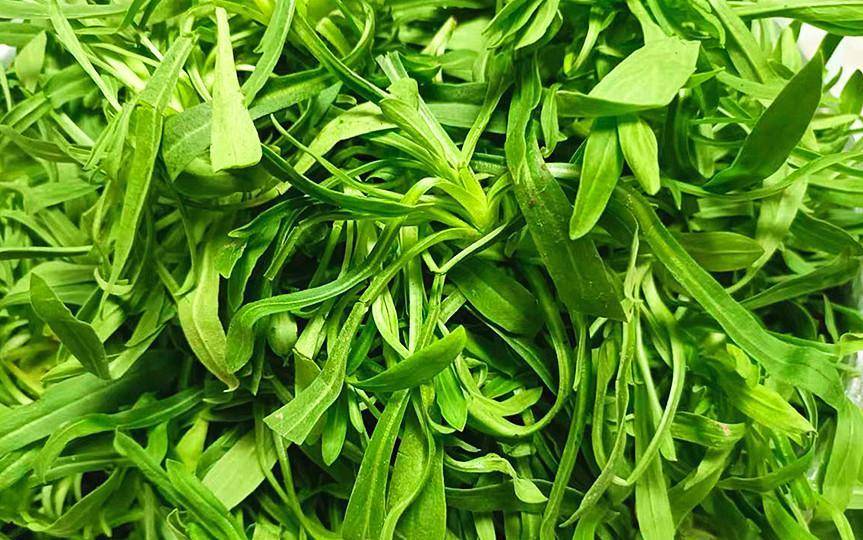 面食又叫香炉草,野菠菜,瓦锅,甜菜,麦石榴,羊脚树,灯笼草,你的家乡叫