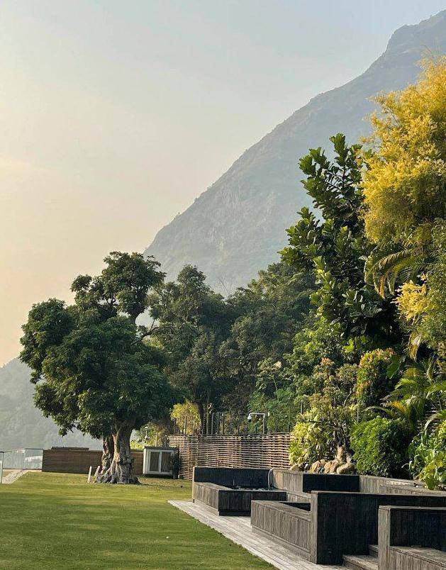 温碧霞客厅骑马,林青霞家引仙鹤,何家劲家是景区,明星豪宅真壕_香港