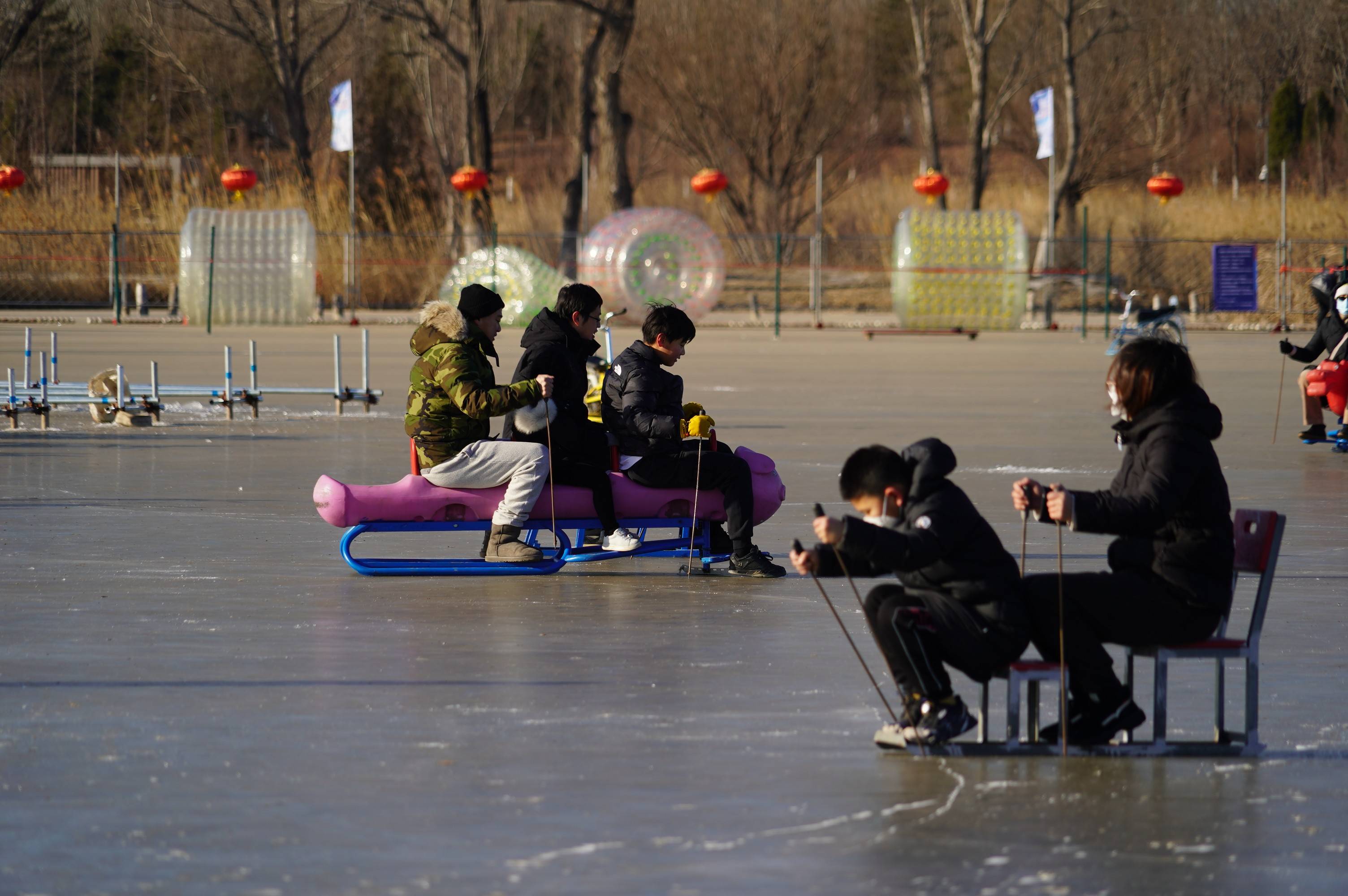 北京最大城市绿肺,8万平方米冰场今天正式对外开放!_温榆_朝阳_公园