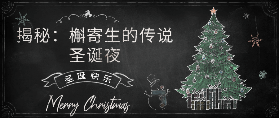 比如在英语中有一句俗语,叫做meet me under the mistletoe,意思是"在