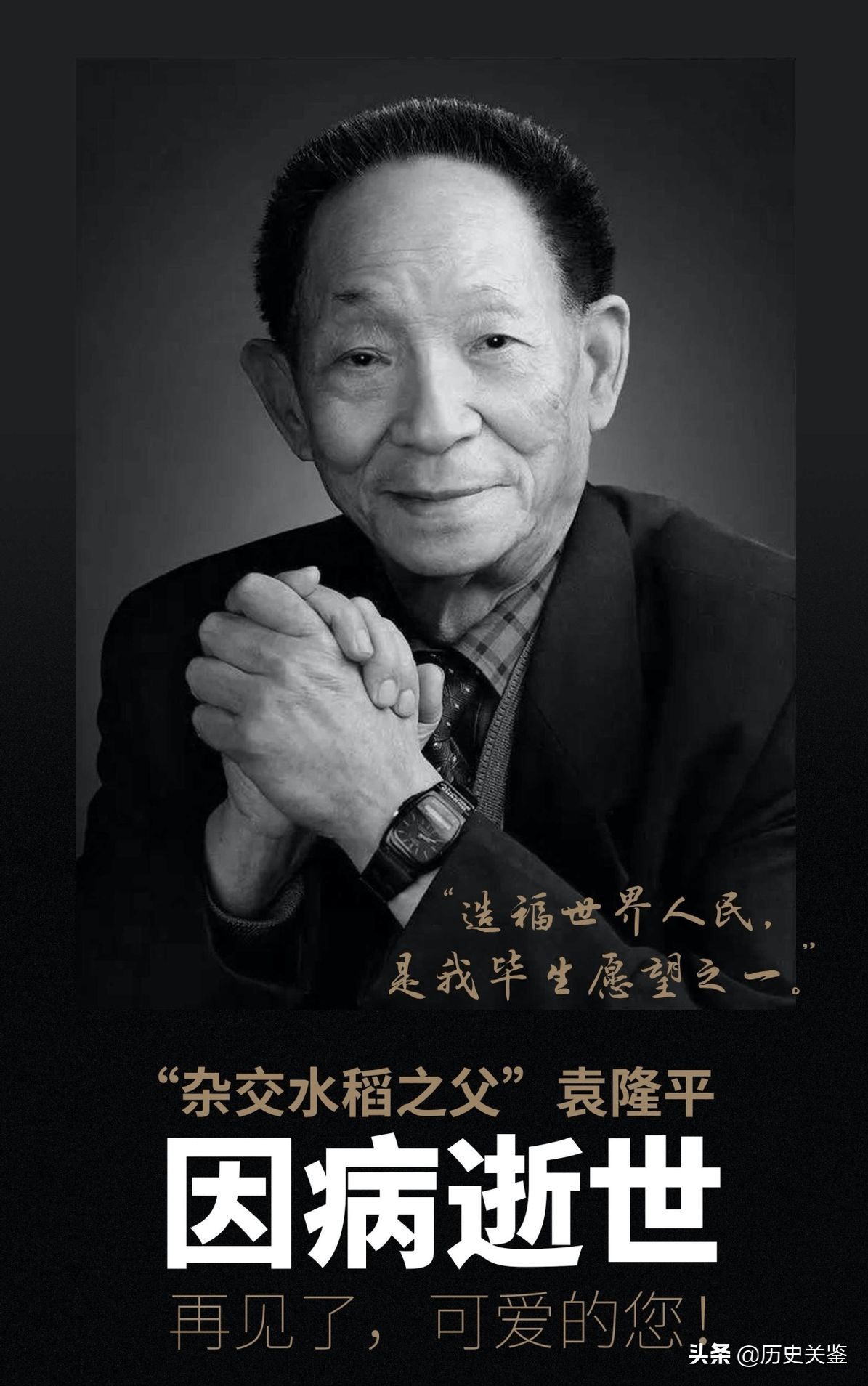 "杂交水稻之父"袁隆平,折服日本人,令美日德惊讶羡慕的科学家_中国人