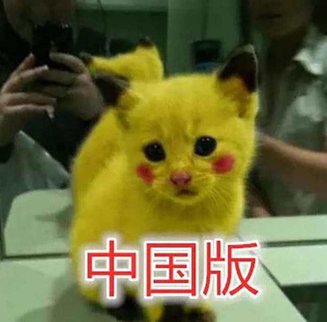 同样是皮卡丘，日本版的典范，美国版实在，中国版是不断心爱的小猫嘛？