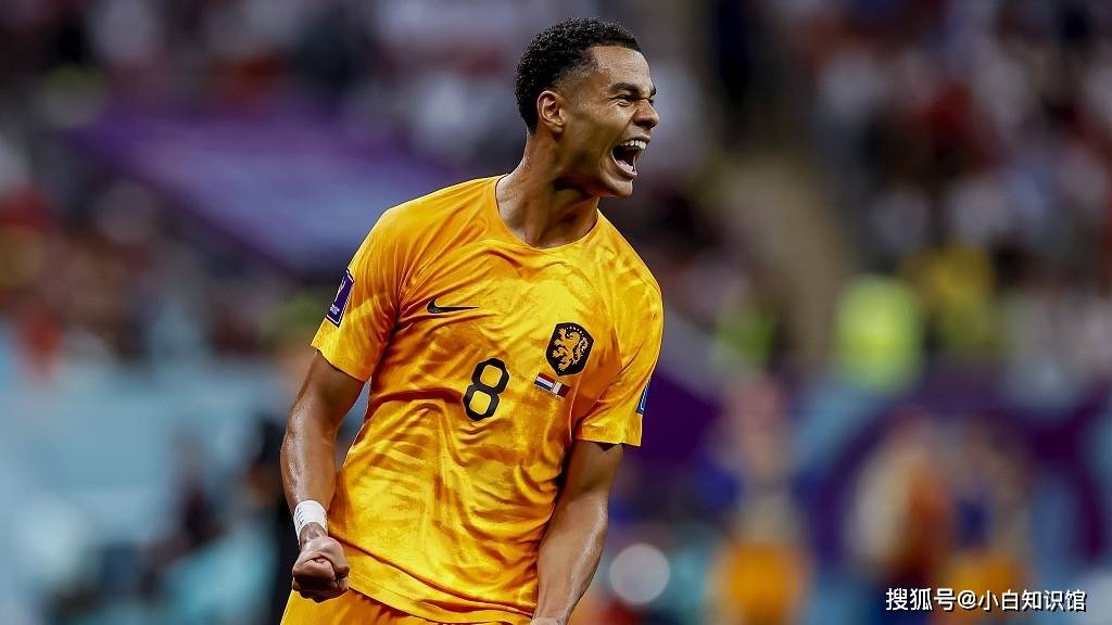 利物浦同意签下卡塔尔世界杯明星科迪·加克波_埃因霍温_荷兰_英格兰