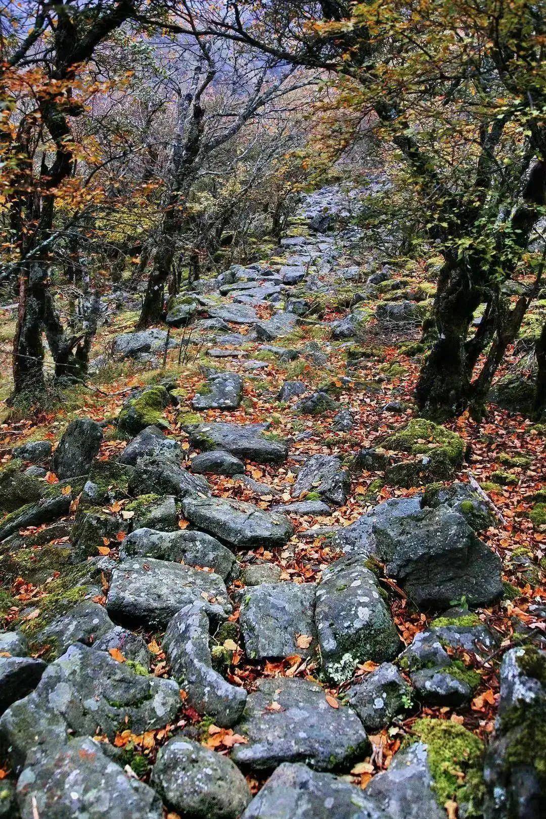 灵关古道遗迹还流传着古代三国的文化故事俄尔则俄不仅风光秀美每个
