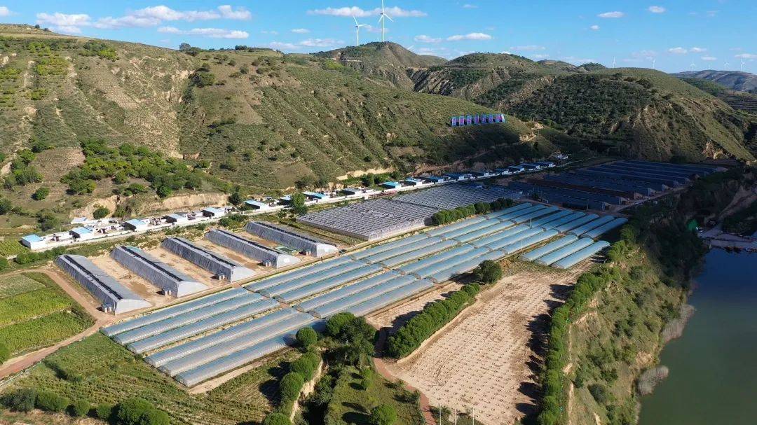 乡村振兴 | 吴起县周湾镇:园区产业遍地开花 现代农业异彩纷呈_温室