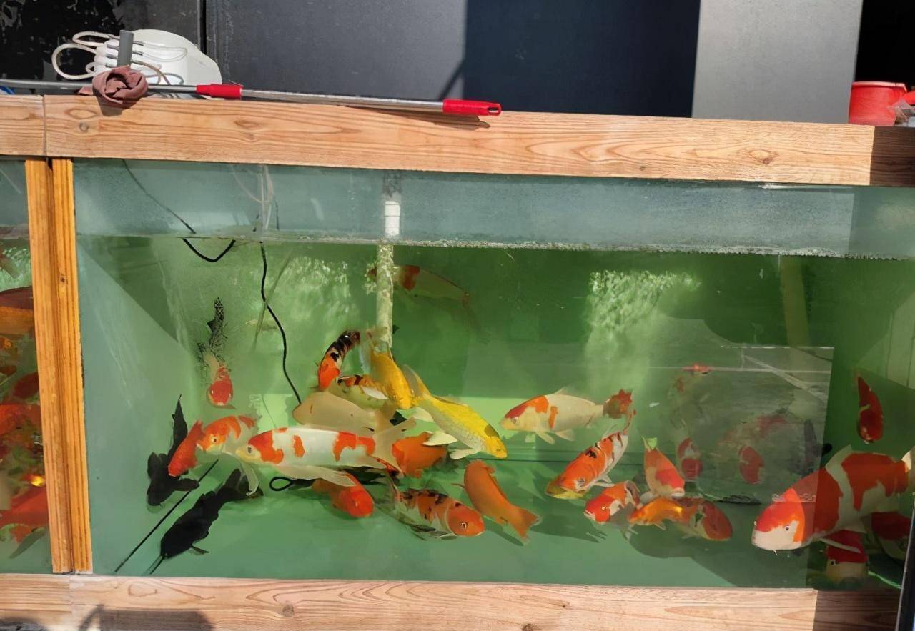 是要考虑很多因素的_空间_罗汉_大部分