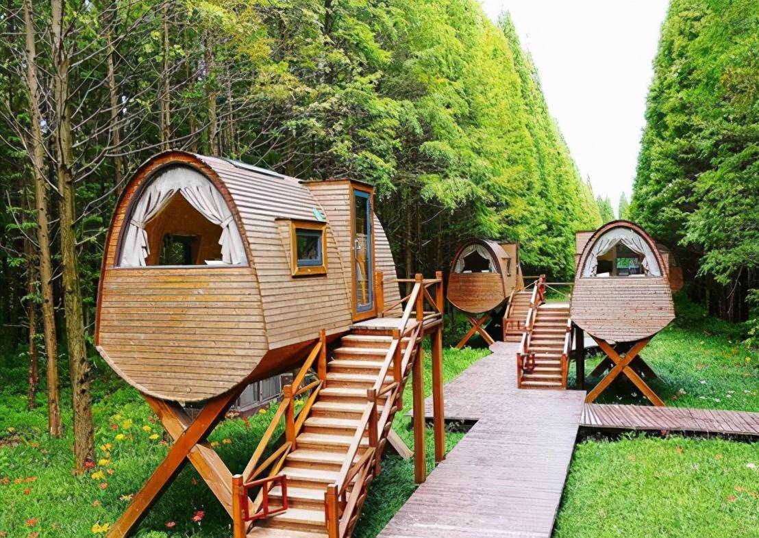 阳光照射下的美丽,森林中的大型儿童游乐区,秋季值得去的好地方_小