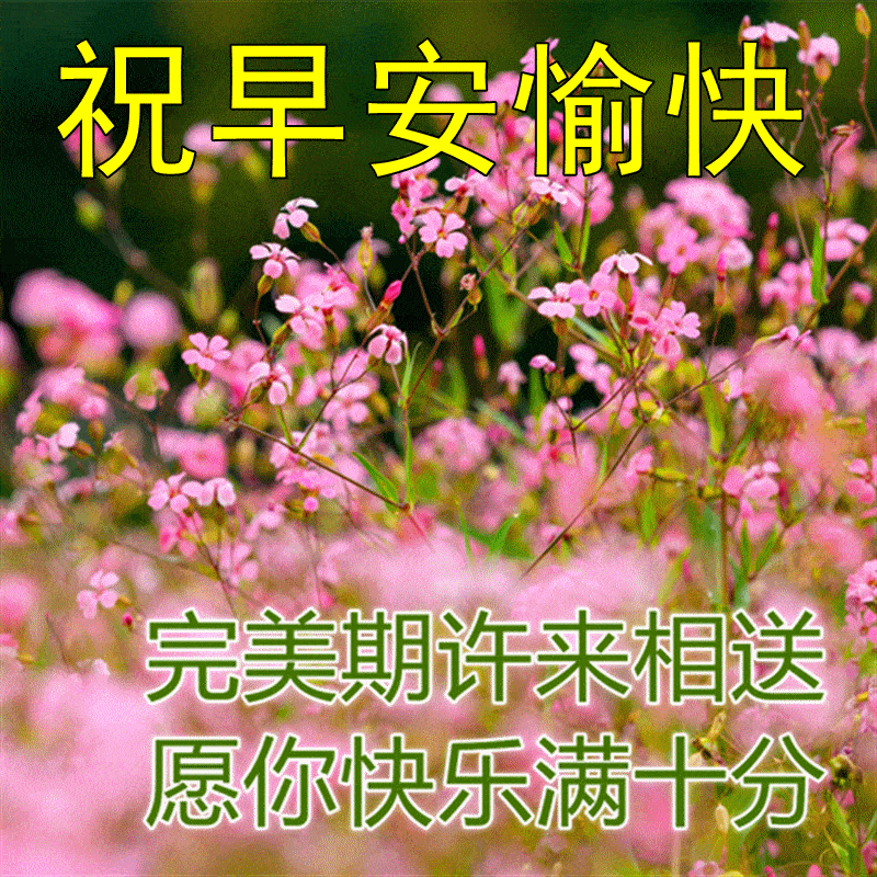 12月31日早晨早安问候动态表情图片 最美早上好祝福动态图片表情_星期