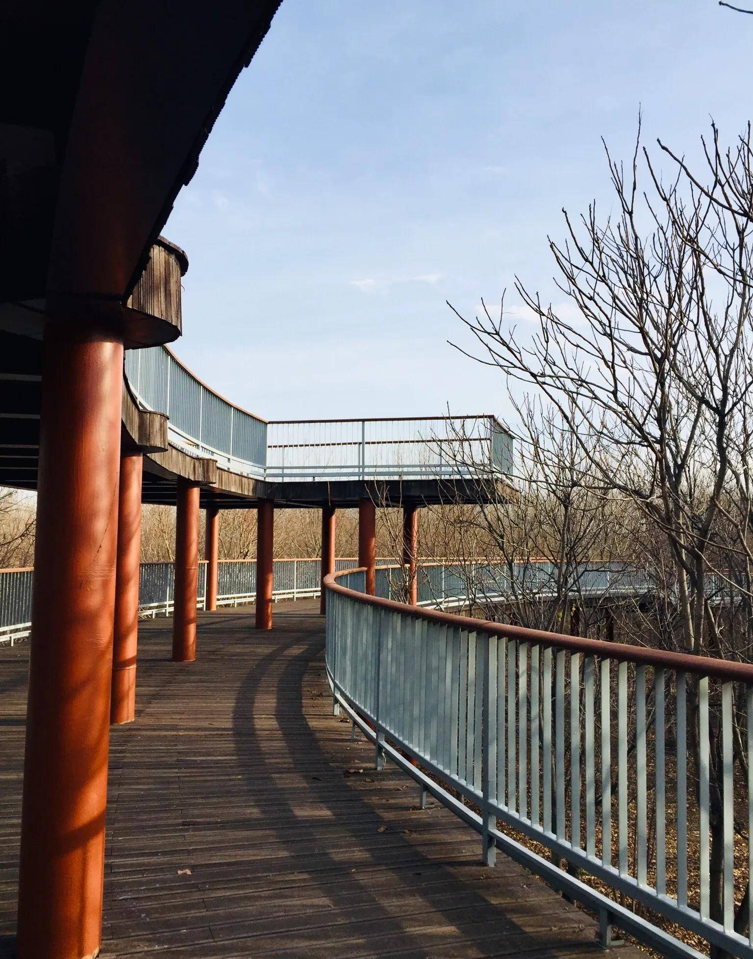 天津武清寒冬冰湖残荷凄美的津北森林公园,依有江南水乡的秀美_休闲