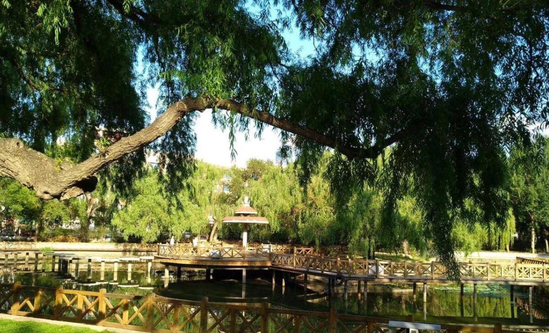 辽宁又一公园"惊艳"亮相,称"沈阳小西湖",门票0元游人不绝_城市_溜冰