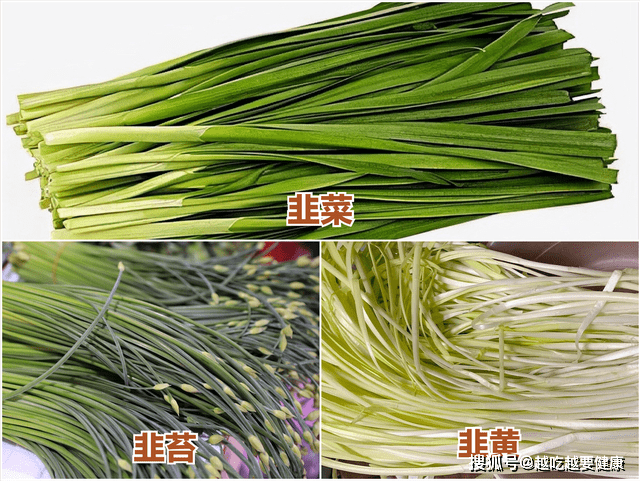 “韭菜”、“韭黄”、“韭苔”啥区别?营养差别大,学会别挑错了_口感_含量_形态