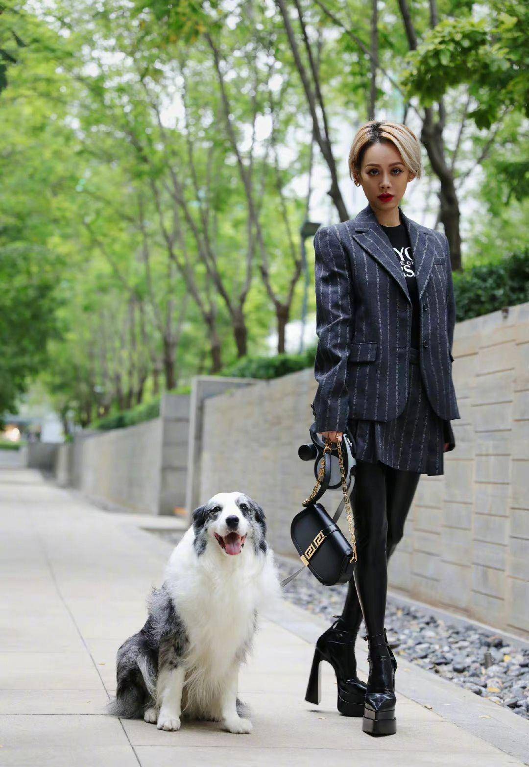 宁静穿十厘米恨天高遛宠物,随手拿2万包包,回应太瘦要增肥?