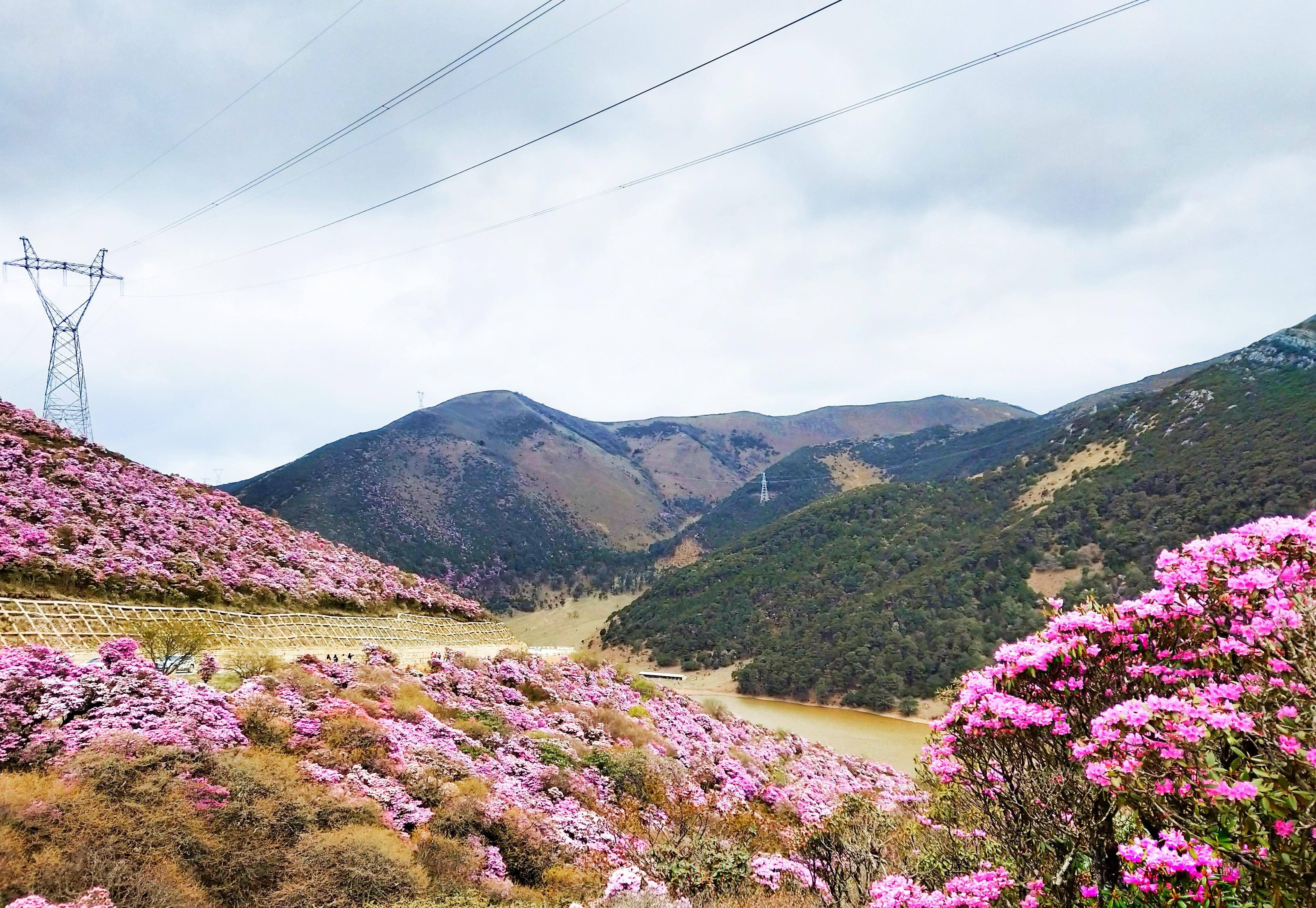 云南马耳山风景区图片