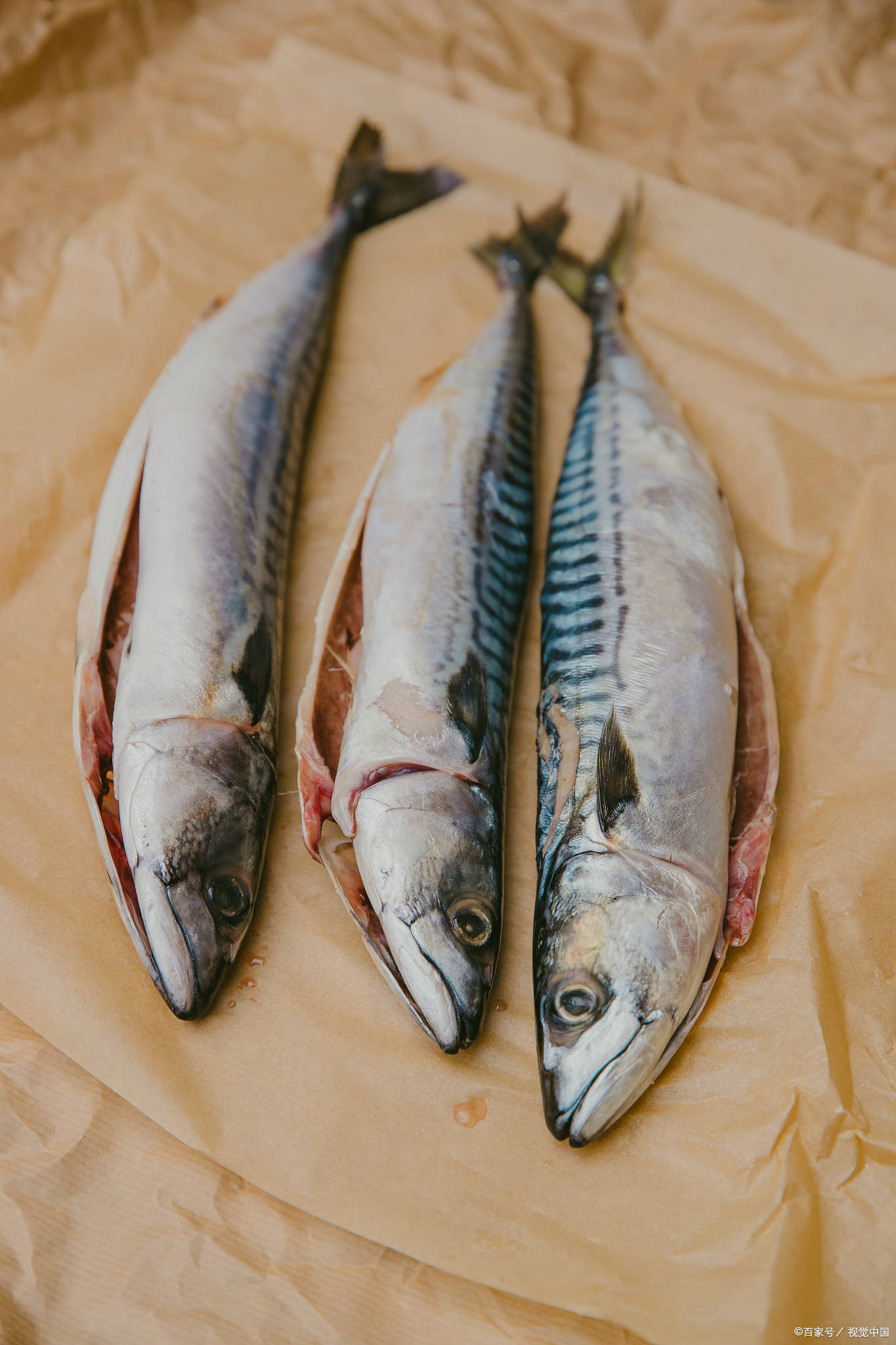 「威海运都」☆鲅鱼_冷冻_内脏_西红柿
