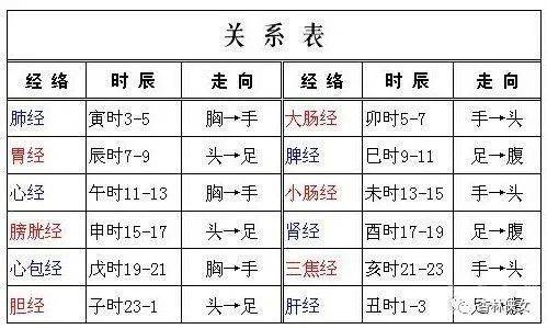 肝的分段口诀图片