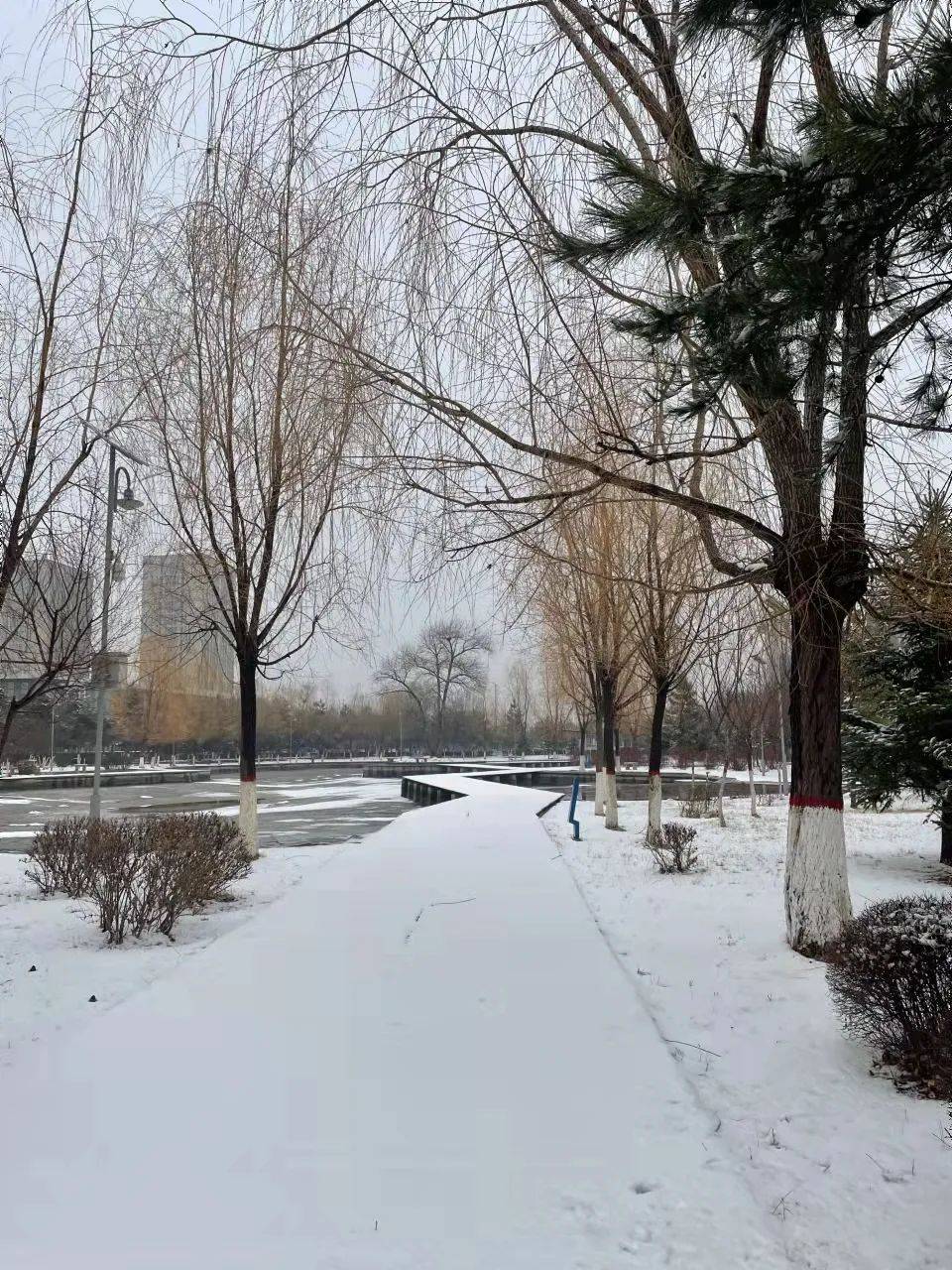 内蒙古大学雪景图片