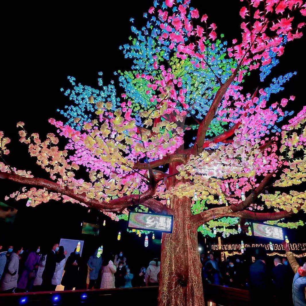 母亲花文化园内,流光溢彩.其中,一组高7米宽8米的七彩许愿树最为亮眼.