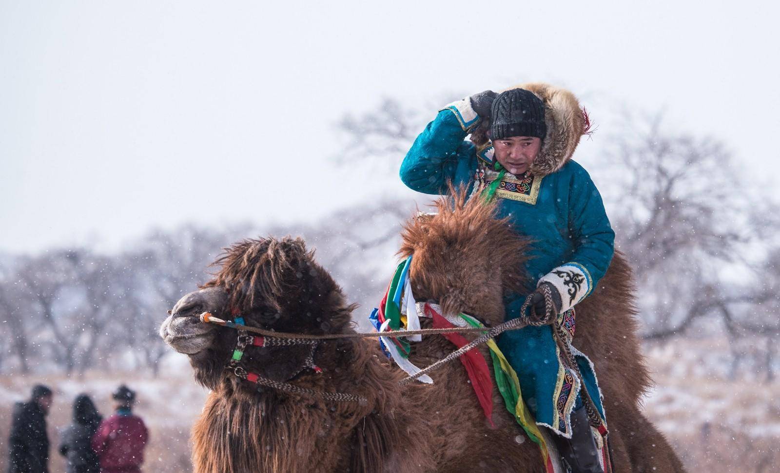 由于蒙古高原极寒,又常与骆驼,骏马相伴,服饰的主要作用当然是防寒与