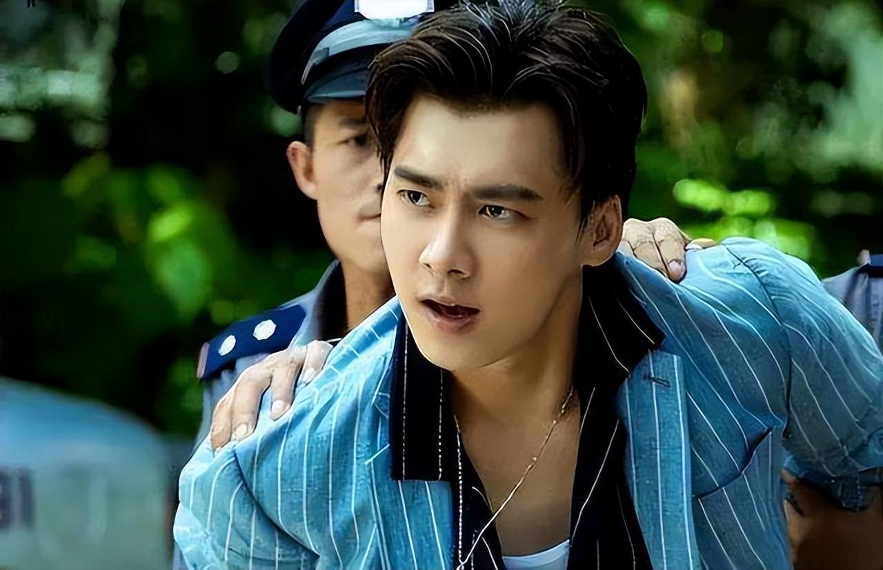 实力演员火不了,"野鸡影帝"红遍天,莫大的讽刺_王宝强_李某峰_电影