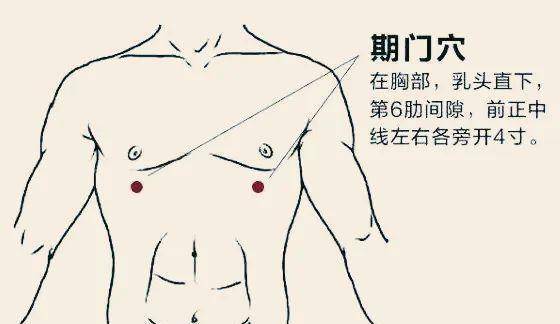 穴位,不论是女士还是男士,平时多揉一揉有益身体健康,女性可改善痛经