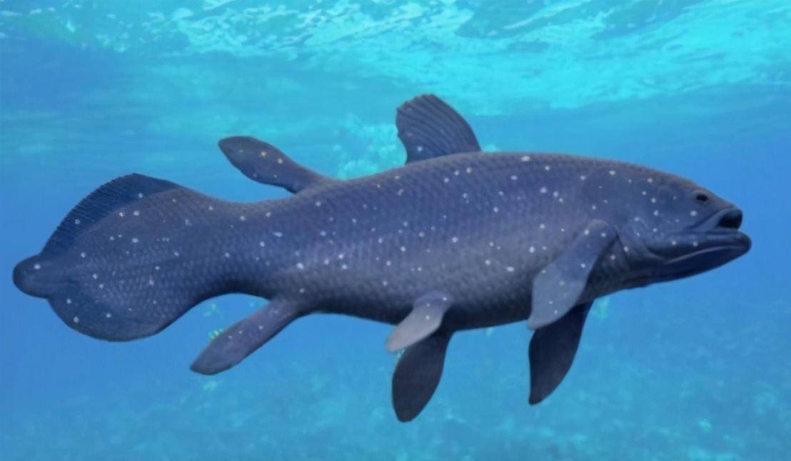 1000万年腔棘鱼多可怕?