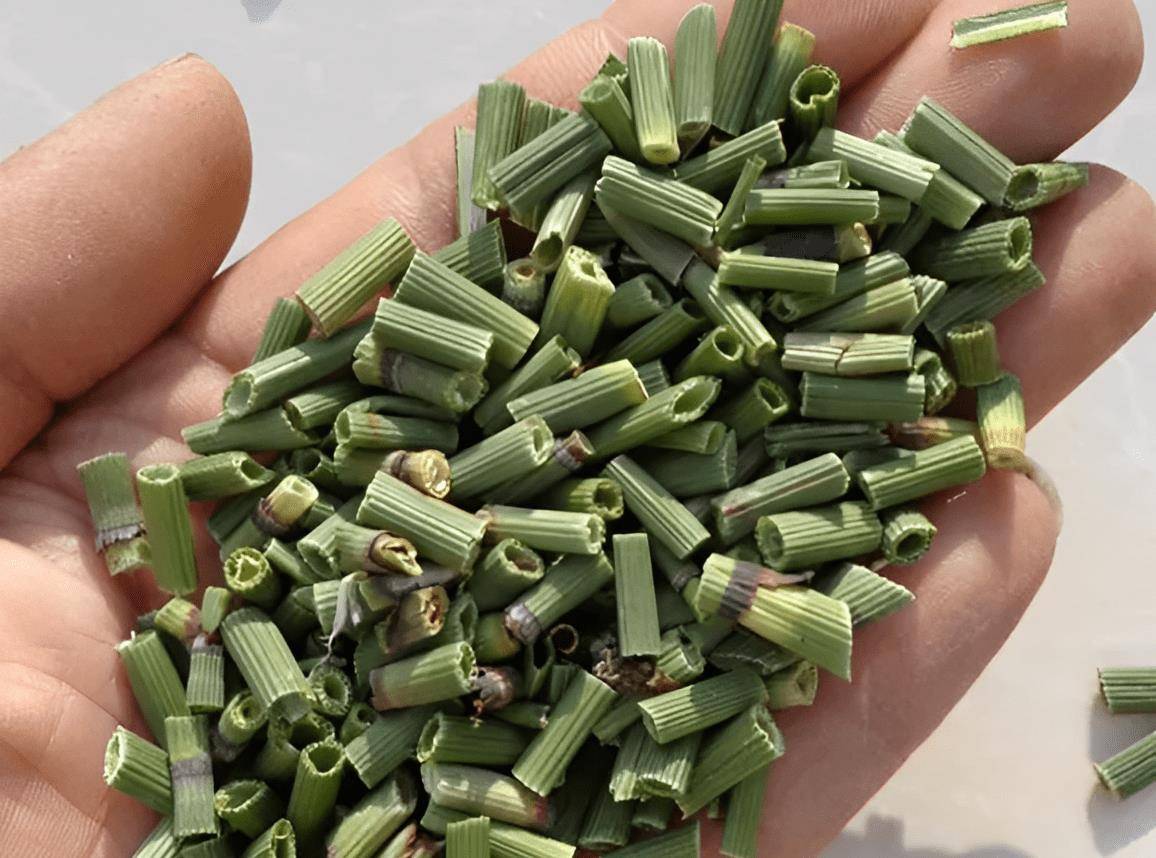 生于农地,人称"草问荆",如今是典型药草,入冬前可采挖,珍贵_花友_植物