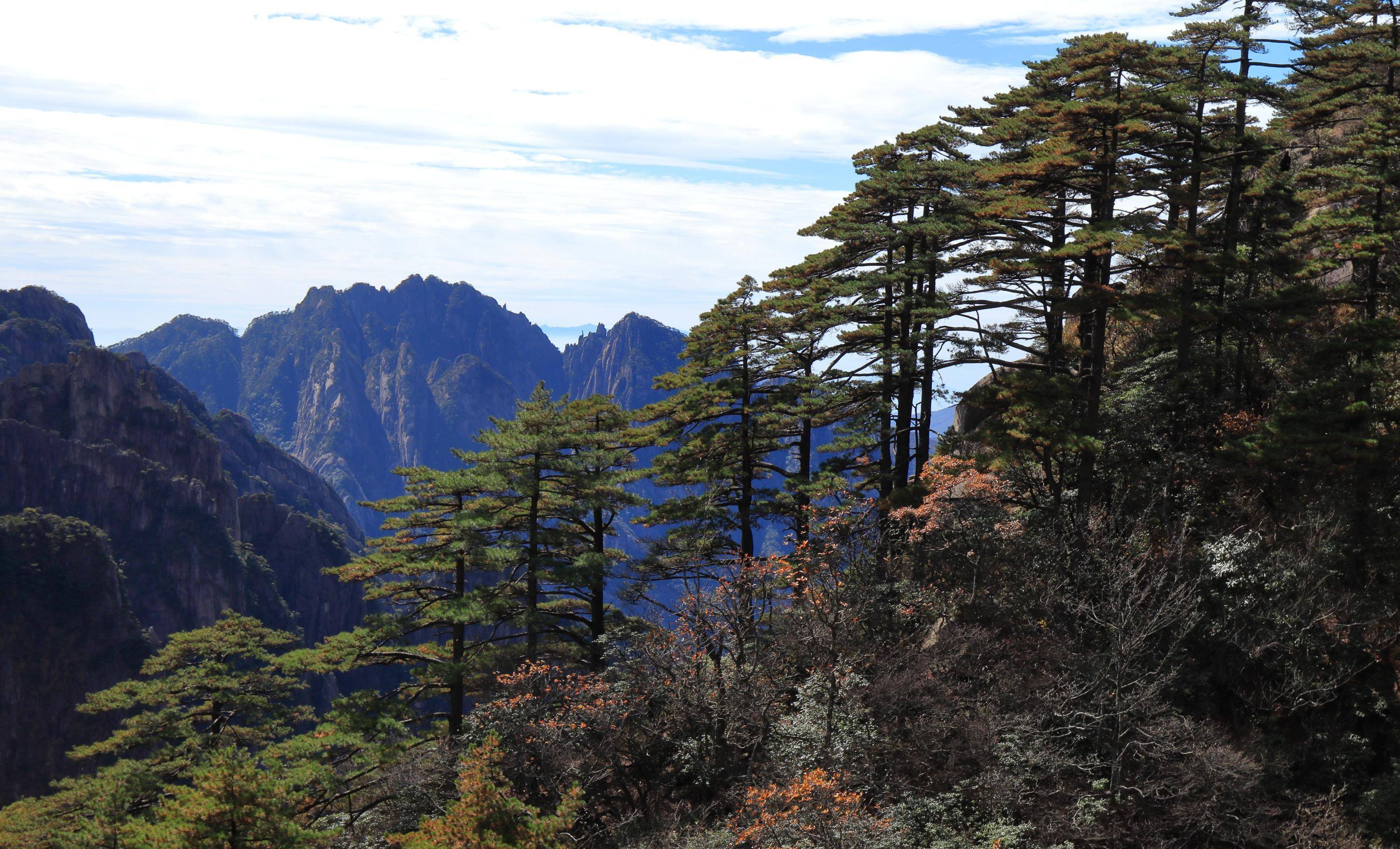 黃山2日,石筍矼始信峰,西海大峽谷,飛來石光明頂蓮花峰迎客松_海拔