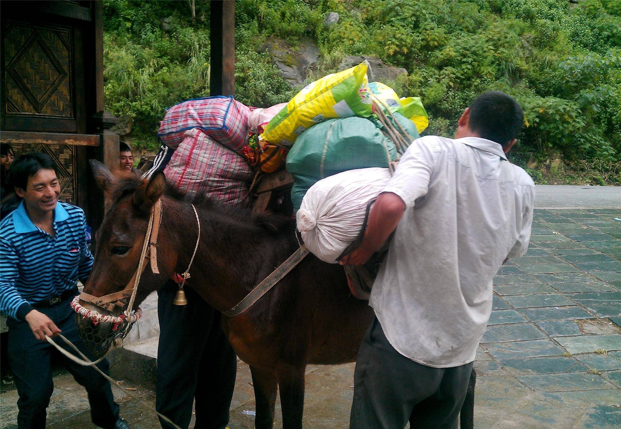 三江并流之怒江考察第十天片马到古登高山峡谷中激流勇进的怒江_碧罗