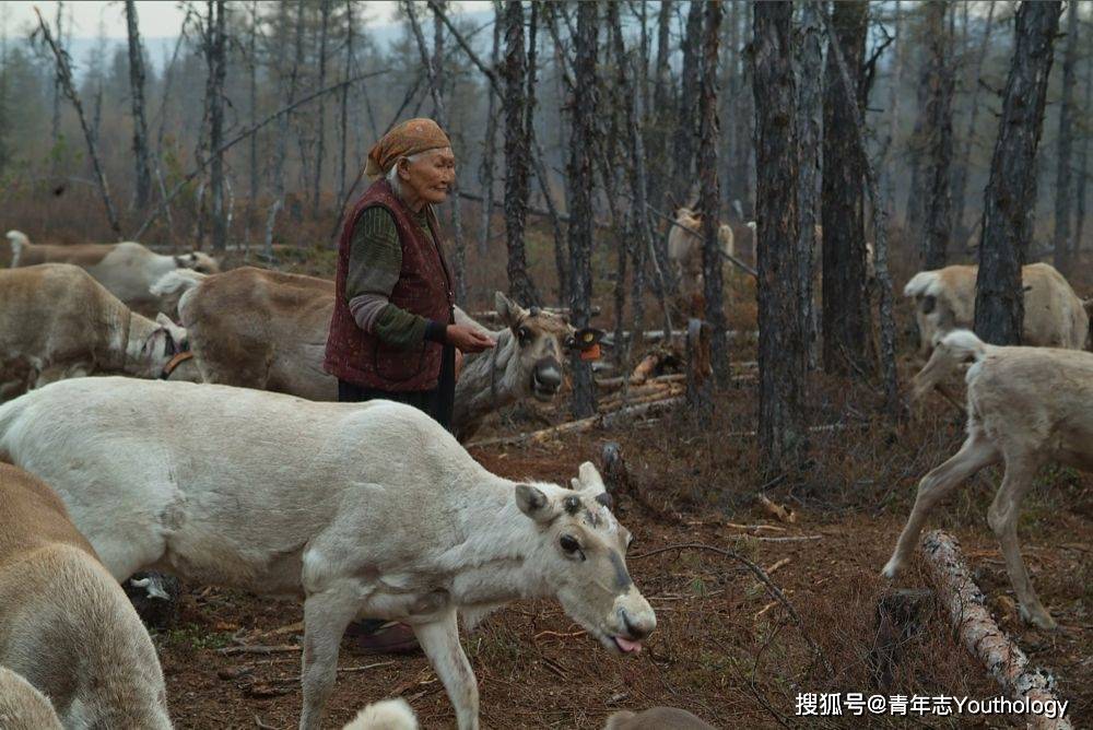 玛利亚·奥拉鲁图片