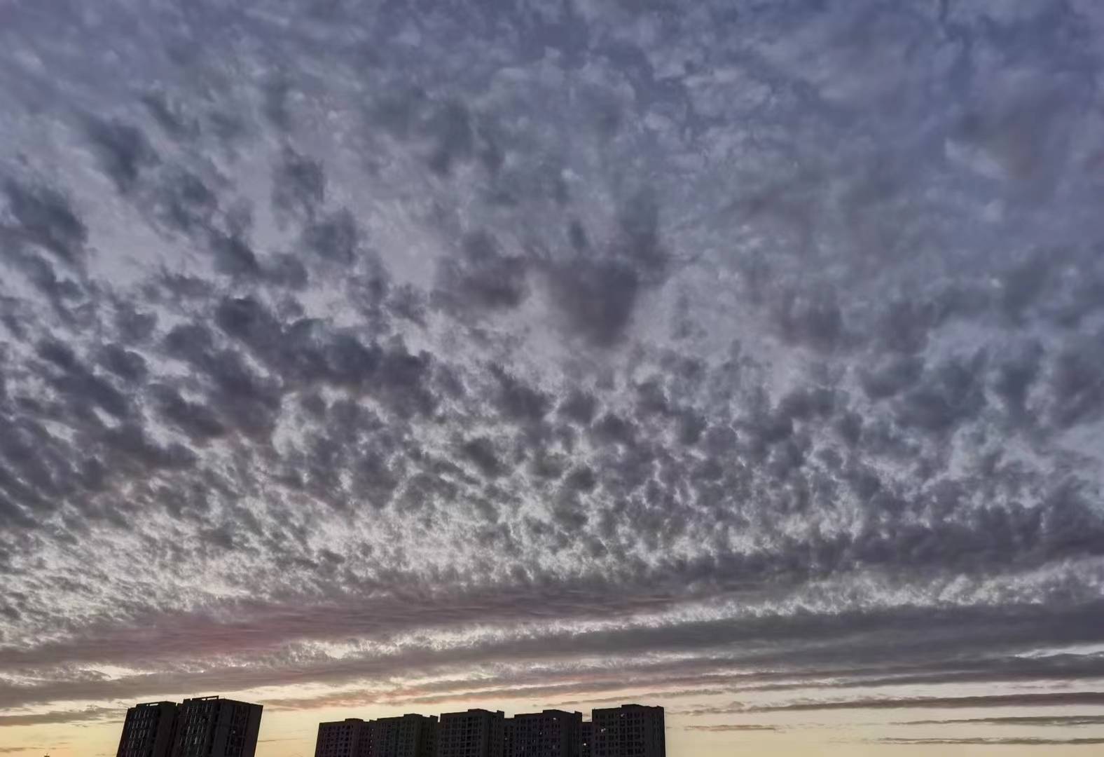 今天1月10日生肖运势