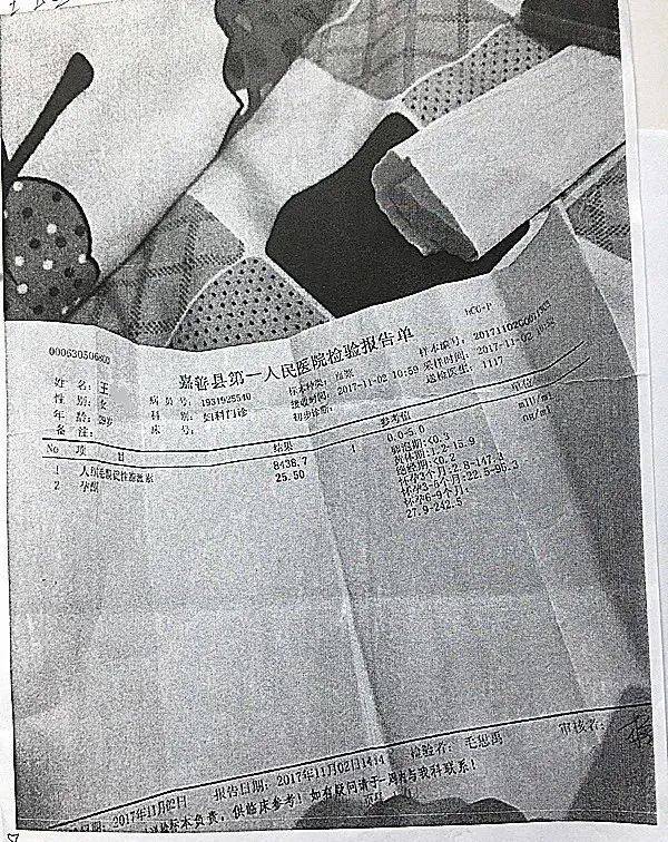 输卵管_子宫_月经