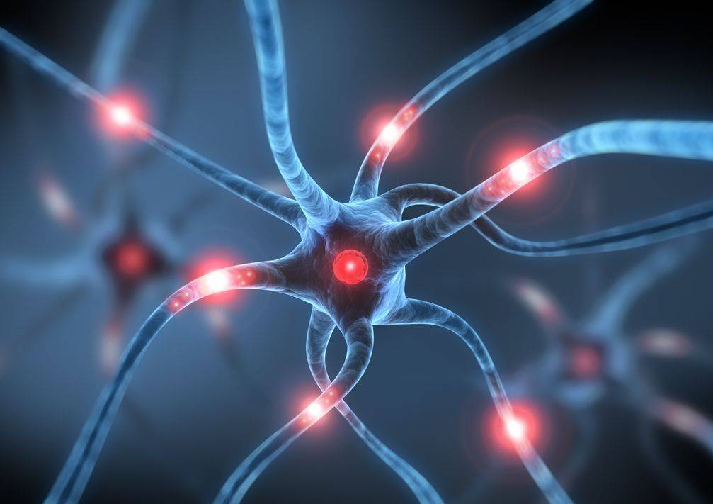 天绿元素能激活脑细胞吗_人体_大脑_营养