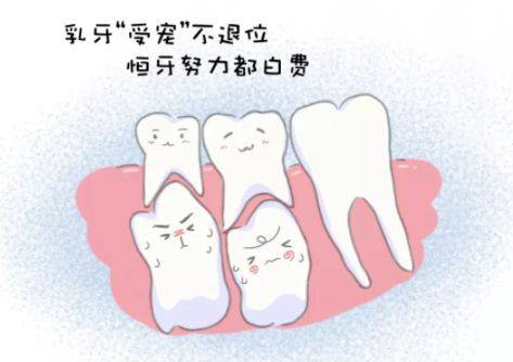 换牙期要注意哪些问题(日常如何护理牙齿)