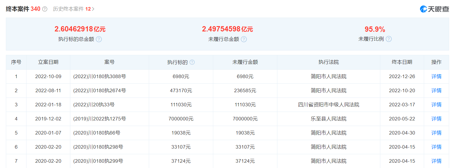 万万没想到（天眼查历史信息里面有限制消费令） 第5张