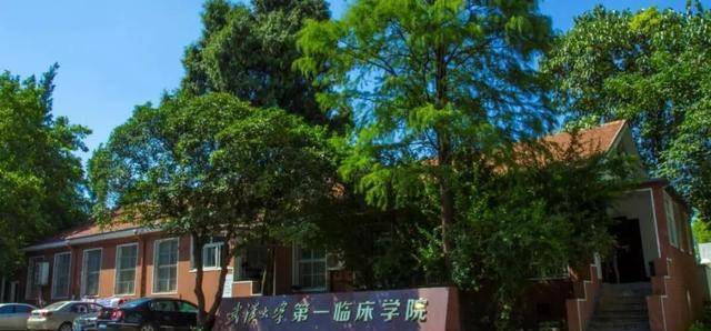 武汉大学口腔医学院 武汉最好的了,本科专科均有招生 华中科技大学